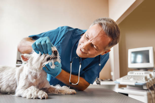 Best Emergency Root Canal Treatment in Fayette, AL